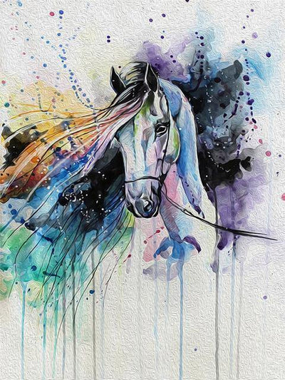 paint by numbers kit Horses Splash 14 - Custom paint by number