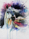 paint by numbers kit Horses Splash 3 - Custom paint by number