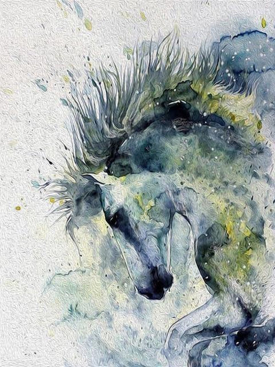 paint by numbers kit Horses Splash 6 - Custom paint by number