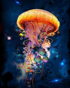 paint by numbers kit Jellyfish Galaxy - Custom paint by number