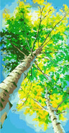 paint by numbers kit Looking up at Tree - Custom paint by number