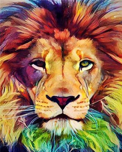 paint by numbers kit Majestic Lion 1 - Custom paint by number