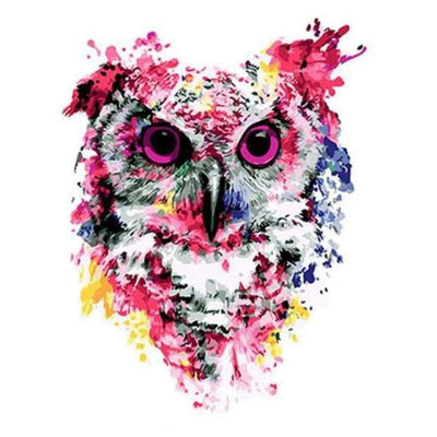 paint by numbers kit Owl Splash - Custom paint by number