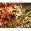 paint by numbers kit Red maple leaf fox Animal - Custom paint by number