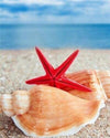 paint by numbers kit Shells and Starfish on Beach - Custom paint by number
