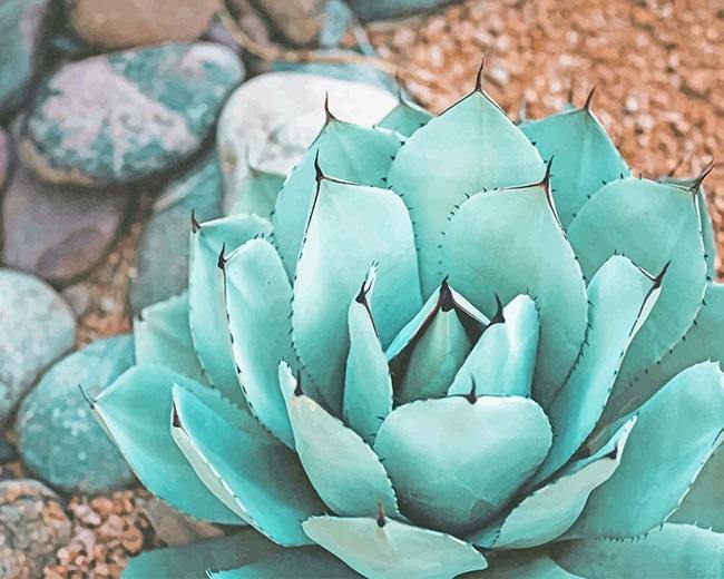 succulent paint by numbers paint by numbers kit Succulent Near Rocks - Shop 2500+ designs