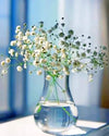 paint by numbers kit The Baby’s Breath glass vases - Custom paint by number