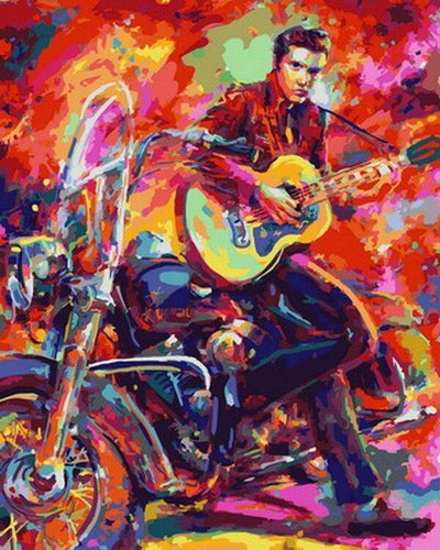 paint by numbers kit The Elvis Presley poster - Custom paint by number