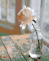 paint by numbers kit The Flower in a glass bottle - Custom paint by number