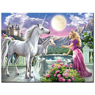 paint by numbers kit Unicorn And Princess - Custom paint by number