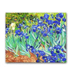 paint by numbers kit Vincent Van gogh Irises - Custom paint by number