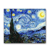 paint by numbers kit Vincent Van gogh Starry night - Custom paint by number