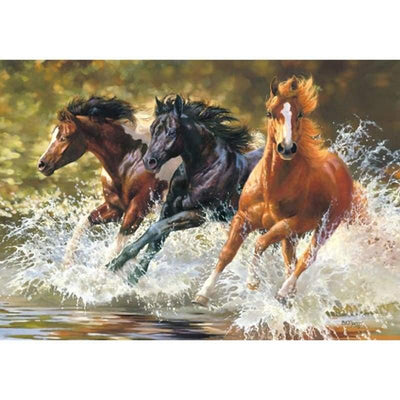 paint by numbers kit Wild Horses - Custom paint by number